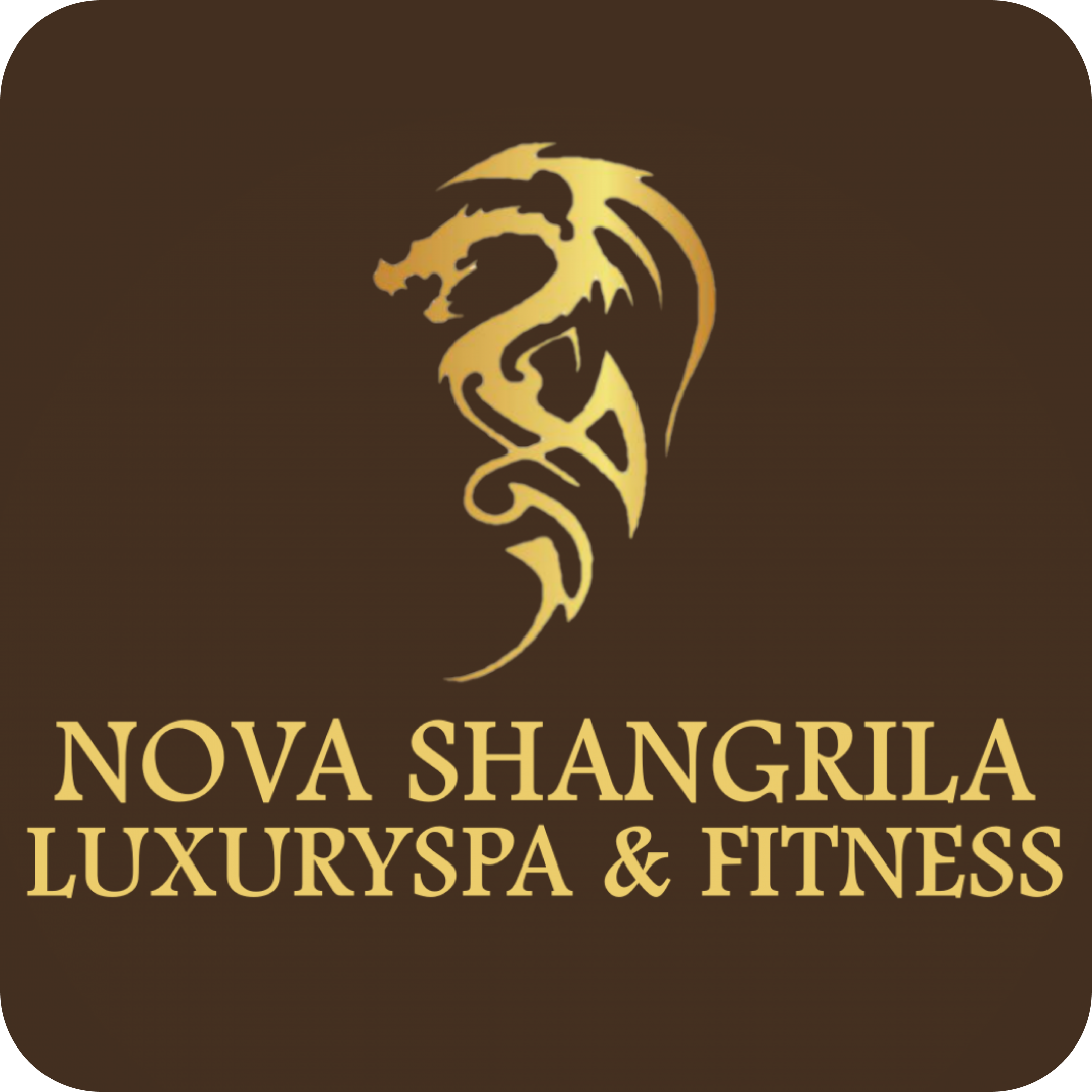Комплексы с хаммамом, пенный массаж от 69р в "Nova Shangrila SPA&Fitness"